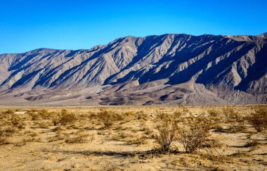 Anza-borrego çöl Devlet Parkı