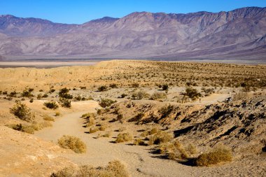 Anza-Borrego Desert State Park clipart