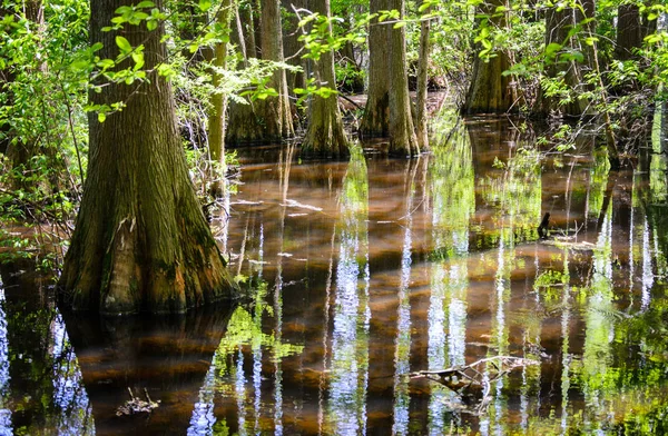 Tuzak Pond State Park