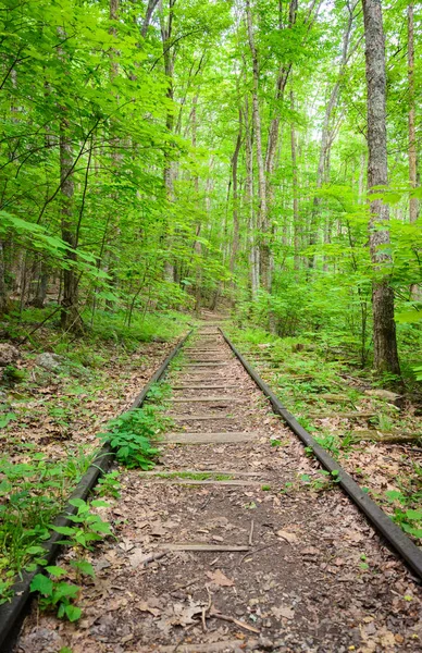 Blue Ridge Parkway Skyline Drive — Foto Stock