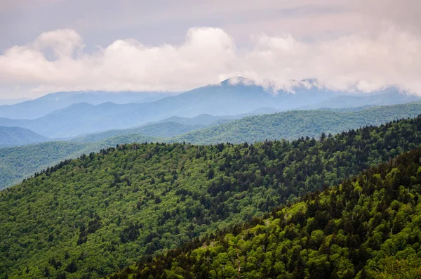 Parc National Des Monts Great Smoky — Photo