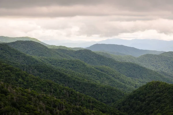 Great Smoky Mountains Nemzeti Parkban — Stock Fotó