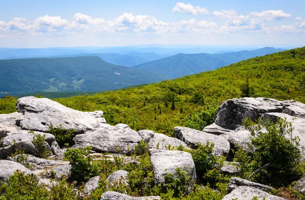 Preservação Bear Rocks Floresta Nacional Monongahela — Fotografia de Stock