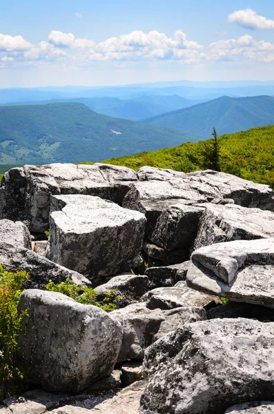 Bear Rocks Preserve Monongahela National Forest — Stock Photo, Image
