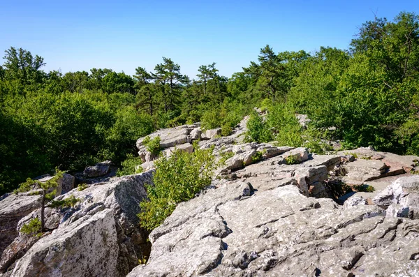 马里兰 Catoctin 山公园 — 图库照片