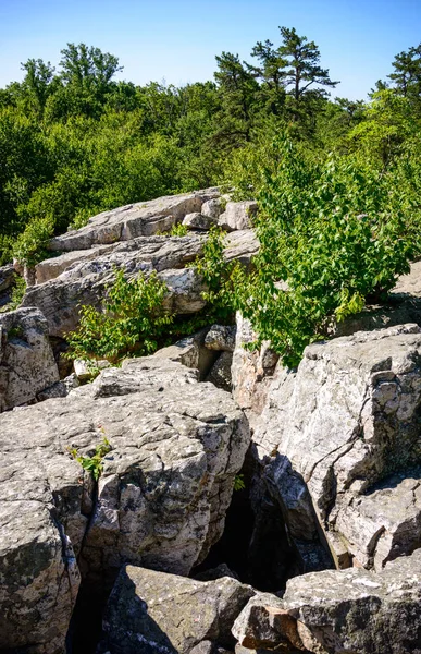 Catoctin Mountain Park Maryland — Stock Photo, Image