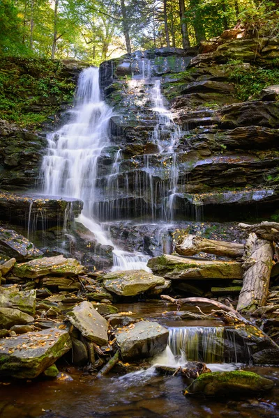 Parque Estatal Ricketts Glen — Foto de Stock