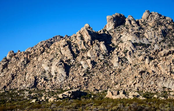 Reserva Nacional Mojave Blm — Foto de Stock