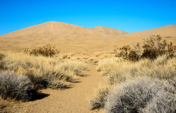 Conservazione Nazionale Del Mojave Blm — Foto Stock