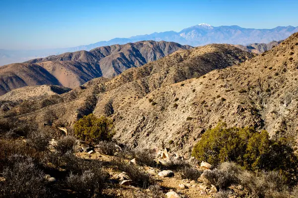Joshua Tree Ulusal Parkı