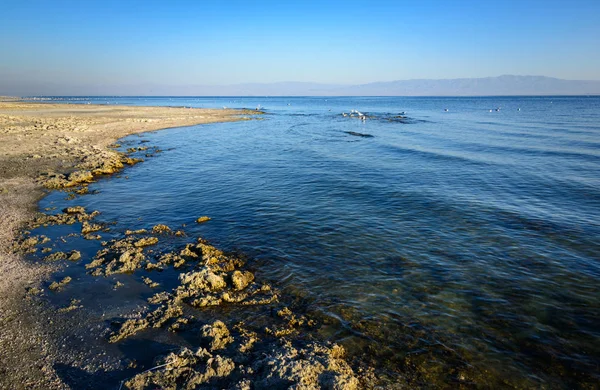 Mar Salton Sur California — Foto de Stock