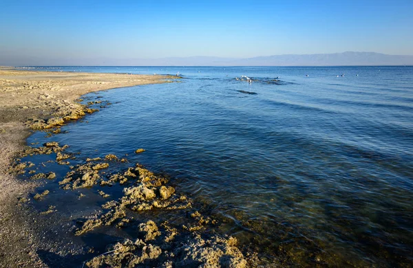 Salton Sea Californië — Stockfoto