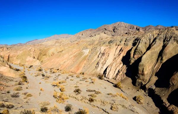 Anza Borrego Desert State Park — Stock Photo, Image