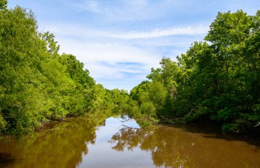 Göl Fausse Pointe State Park