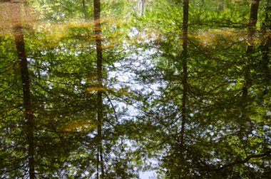 Göl Fausse Pointe State Park