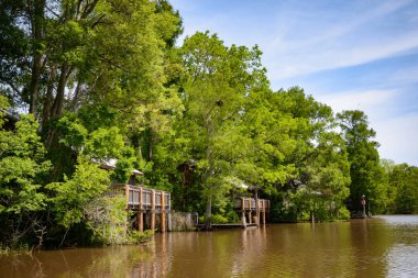 Göl Fausse Pointe State Park