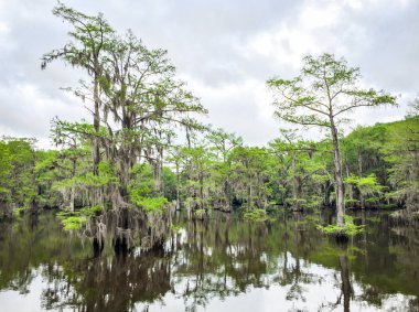 Caddo Gölü State Park