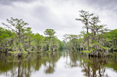 Caddo Gölü State Park