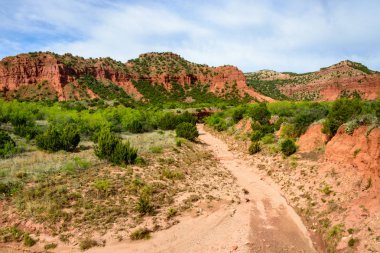 Caprock Canyons State Park and Trailway clipart