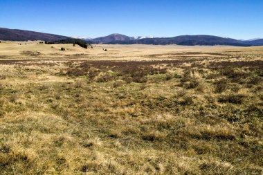 Bandelier Ulusal Anıtı, Cliff evleri