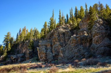 Valles Caldera Ulusal koru