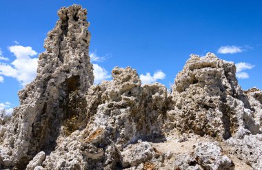 Mono Gölü, California koruma alanı