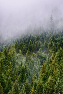 Mount Hood, Multnomah rezervasyon