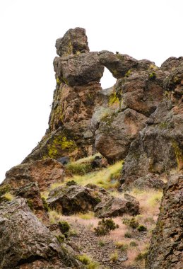 Dilenmek Creek State doğal alan