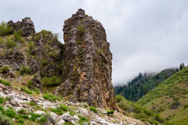Testere dişi Dağları Ulusal rekreasyon alanı