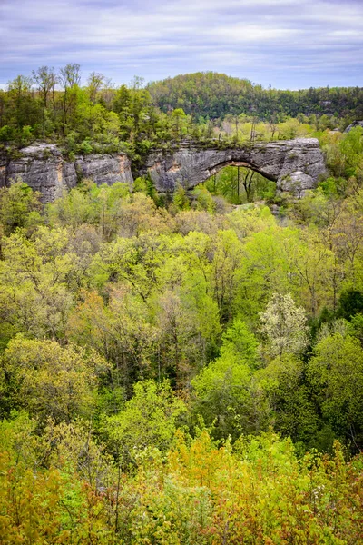 Rivière Big South Fork Aire Récréative Nationale — Photo