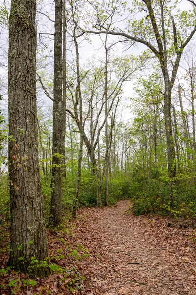 Big South Fork National River Área Recreação — Fotografia de Stock