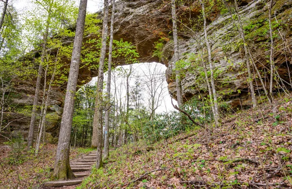 Duże South Fork National River Rekreacji — Zdjęcie stockowe