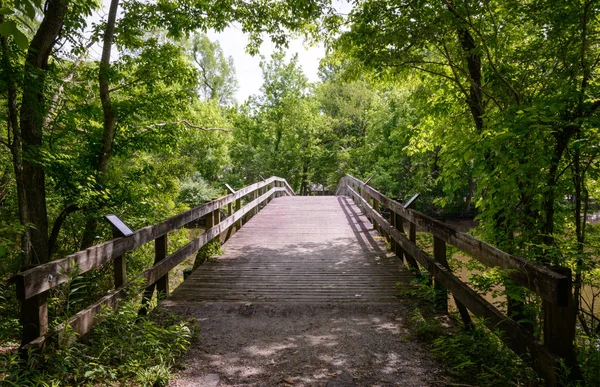 Parc État Lac Fausse Pointe — Photo