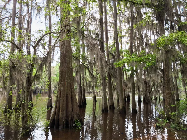 Caddo Gölü State Park