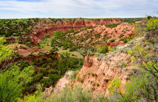 Caprock Canyons State Park Trailway — Foto de Stock