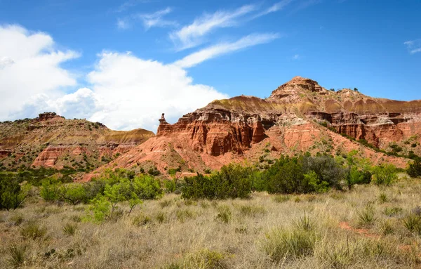 Пало Duro Каньйон State Park — стокове фото