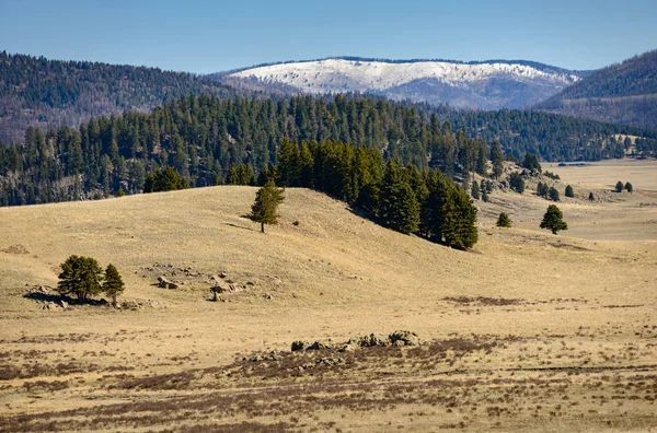 Valles Caldera National Preserve — Stock Photo, Image