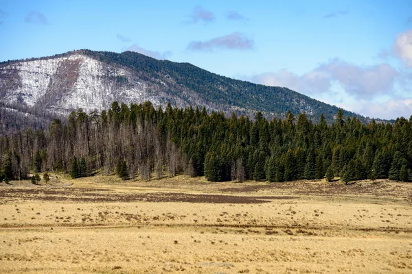 Valles Caldera National Preserve — Stock Photo, Image