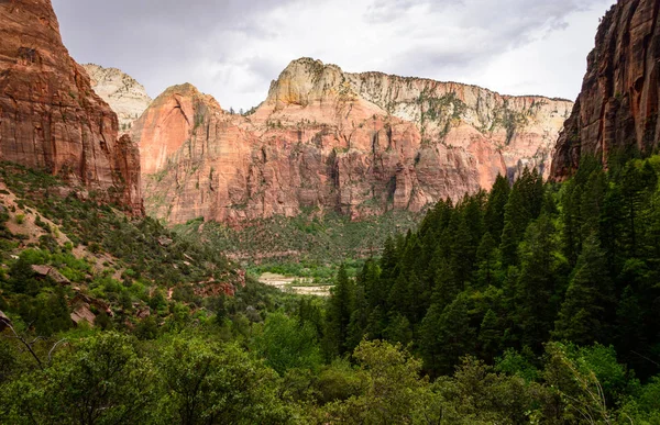 Zion National Park Utah — Stock Photo, Image