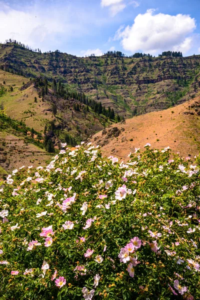 Hells Canyon National Recreation Area