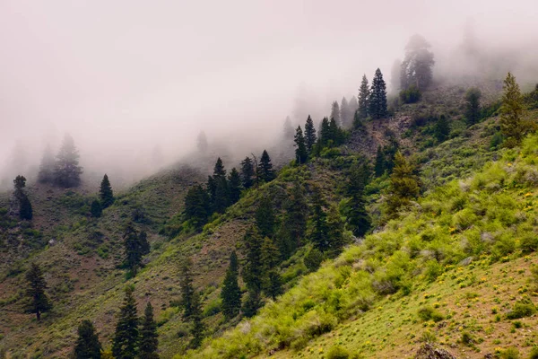 Sawtooth Mountains National Recreation Area