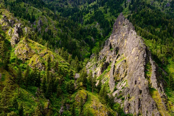 Bergen Van Sawtooth National Recreation Area — Stockfoto