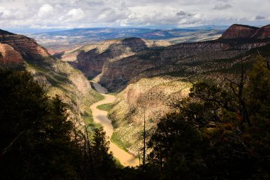 Dinozor Ulusal Anıtı, Colorado