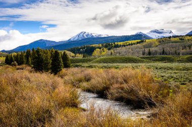 Rüzgar nehri aralığı, Shoshone Ulusal Ormanı