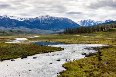 Rüzgar nehri aralığı, Shoshone Ulusal Ormanı