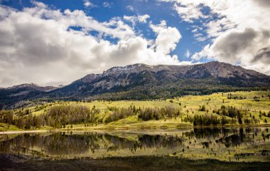 Rüzgar nehri aralığı, Shoshone Ulusal Ormanı
