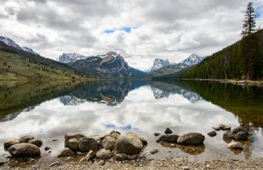 Rüzgar nehri aralığı, Shoshone Ulusal Ormanı