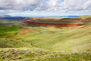 Red Canyon, Ulusal Ormanı