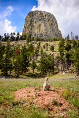 Devils Tower, Black Hills