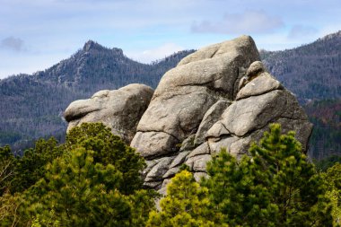Black Hills, Great Plains, Lakota